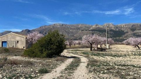 Foto 4 de Finca rústica en venda a Calle C Hoya de la Serna, Vélez-Rubio, Almería