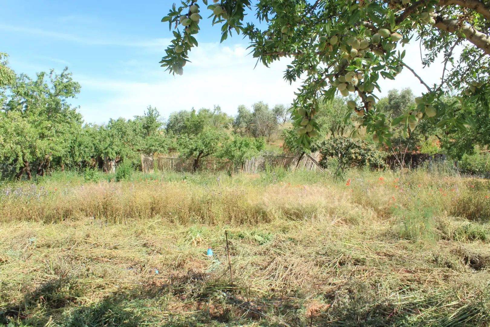 Terreno en venta en Nigüelas