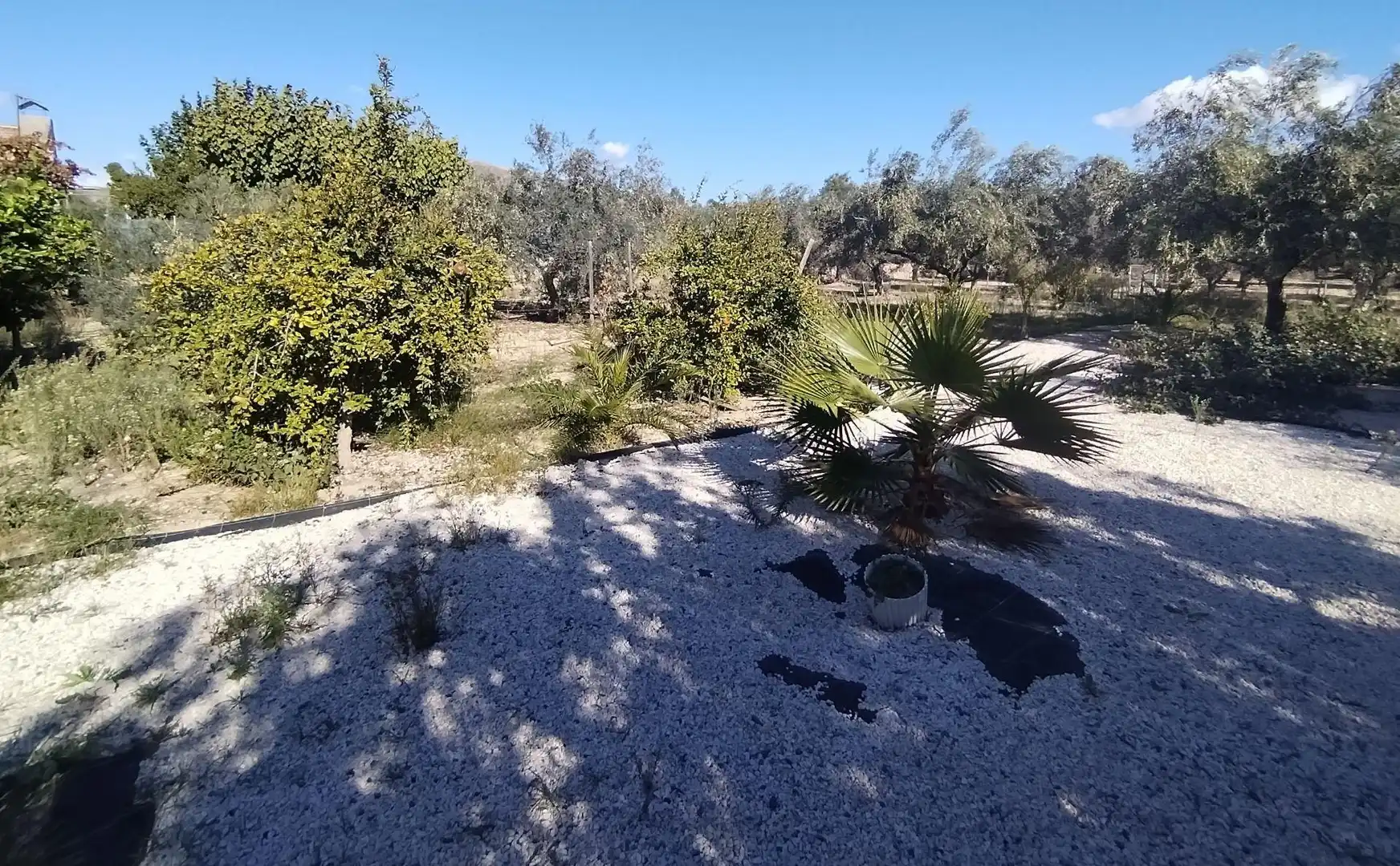Villa avec piscine à vendre à Novelda, imagen 76