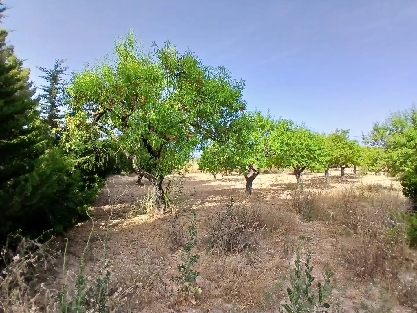 Rural land for sale in Horta de Sant Joan, imagen 8