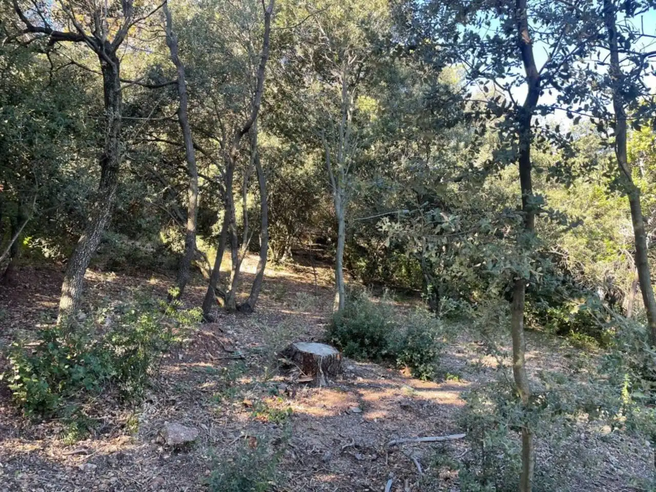 Terrain résidentiel à vendre à Matadepera, imagen 7