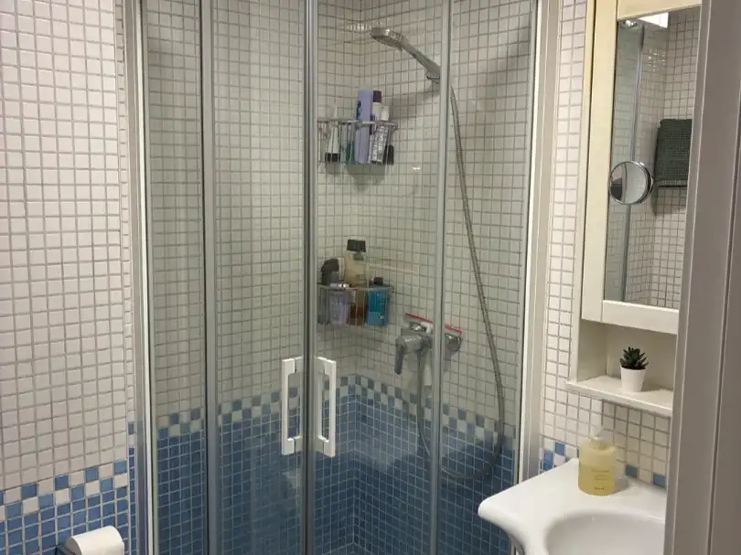 Bathroom of Flat for sale in Instituts - Universitat