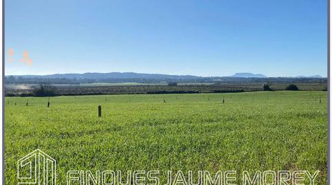 Photo 3 of Residential for sale in Vell de Muro, 1, Zona Periurbana, Illes Balears