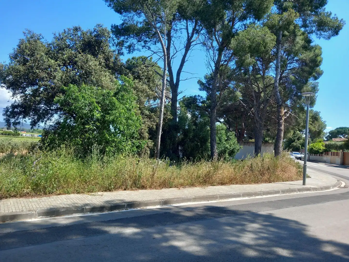 Lands and plots for sale in Banyeres del Penedès