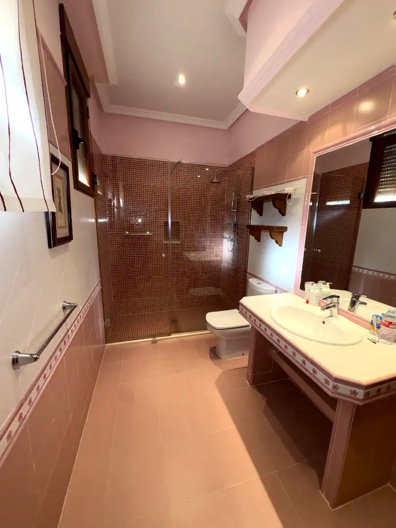 Baño de Nave industrial en venta en Cedillo del Condado con Alarma