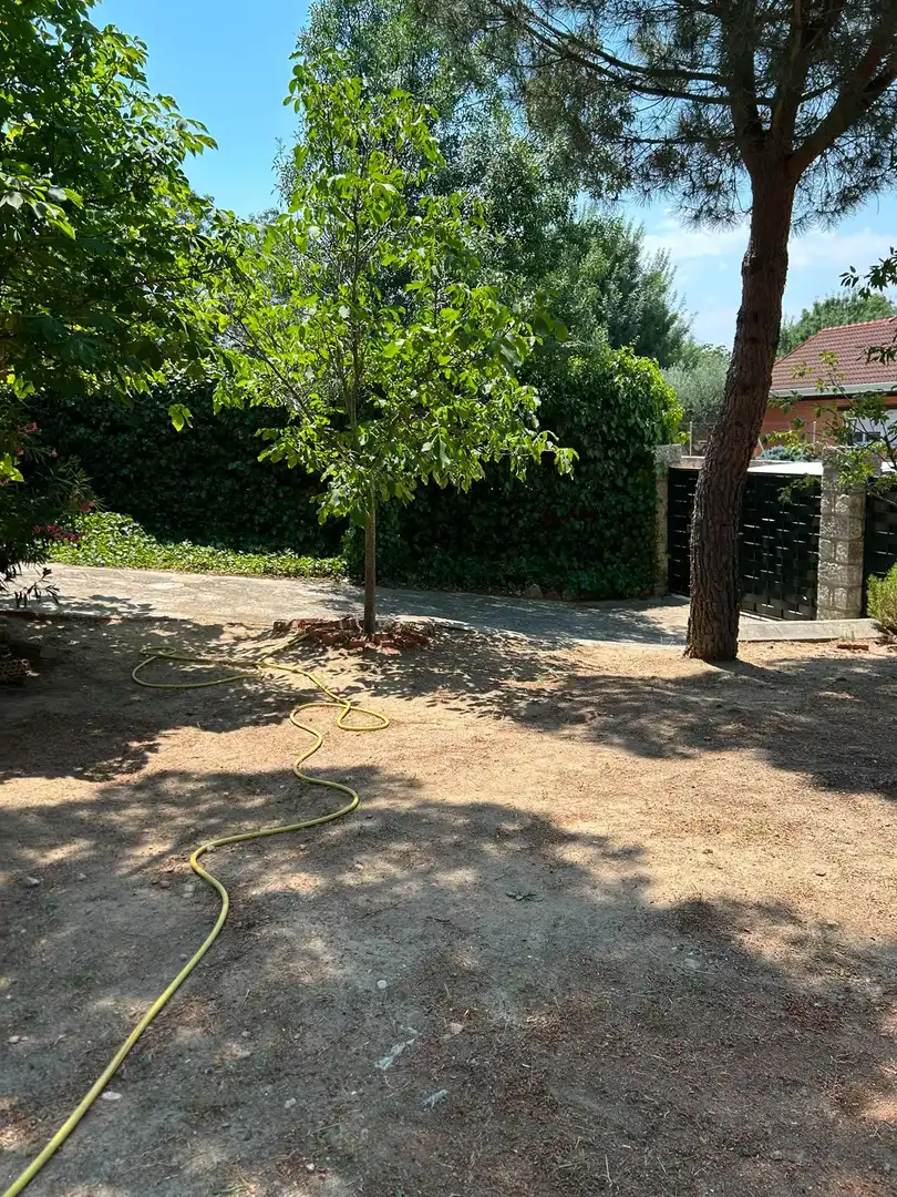 Casa amb jardí en venda a Colmenarejo, imagen 65