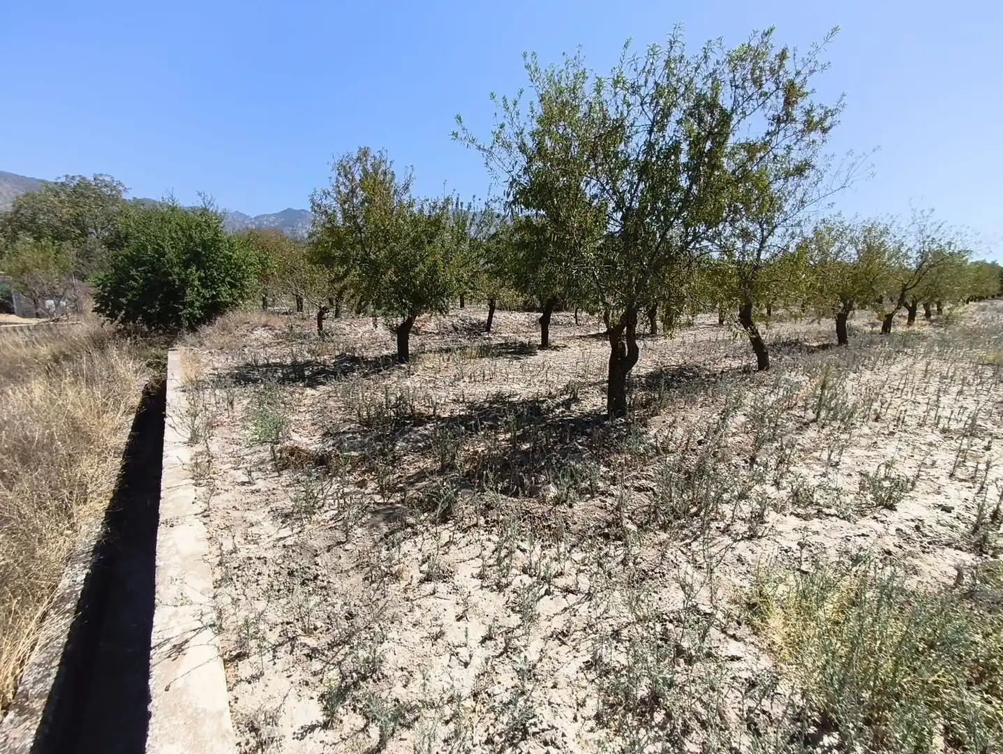 Rural land for sale in 2C55+9GC Cozvijar 0, imagen 20