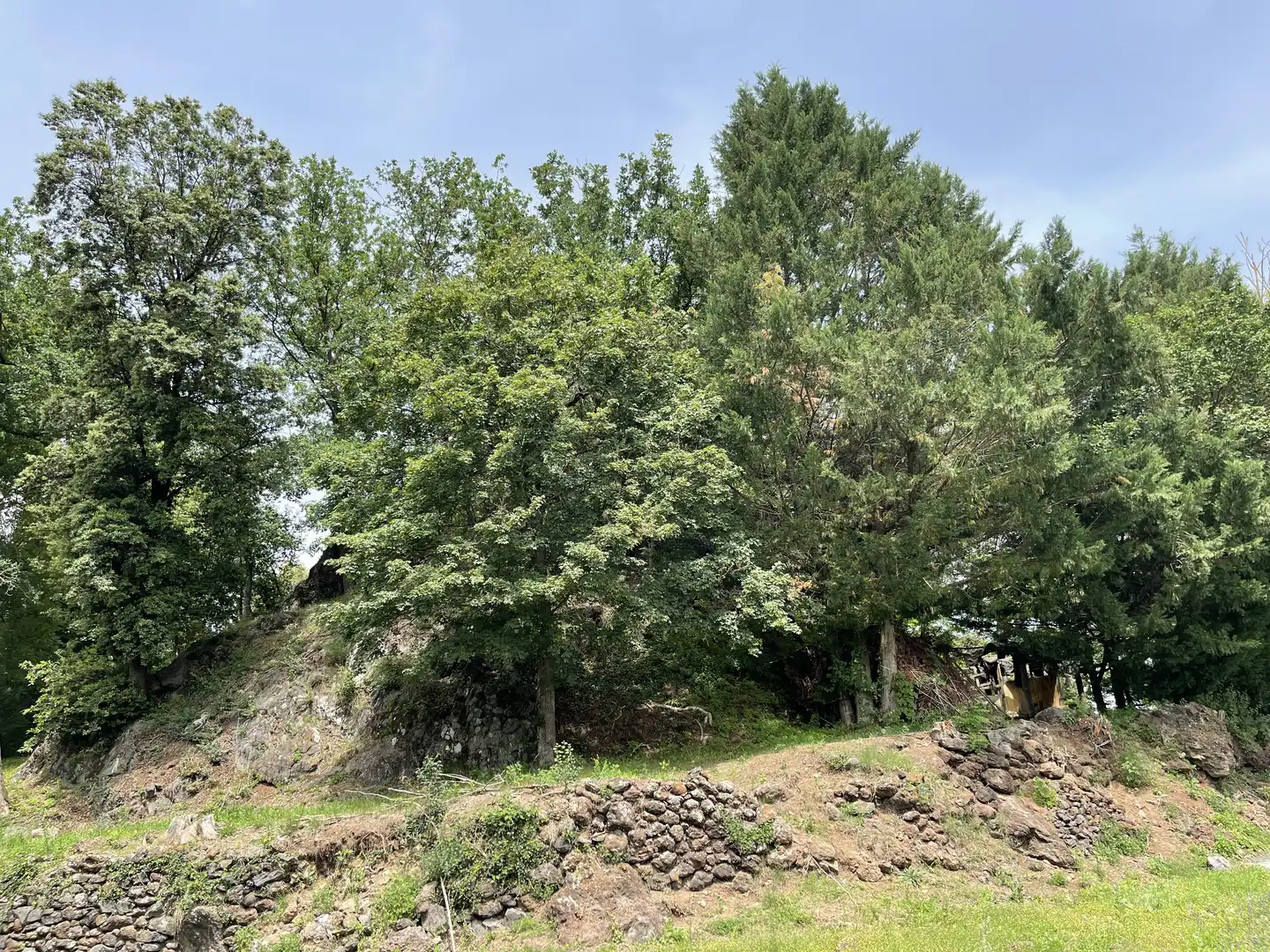 Residential land for sale in Olot, imagen 8