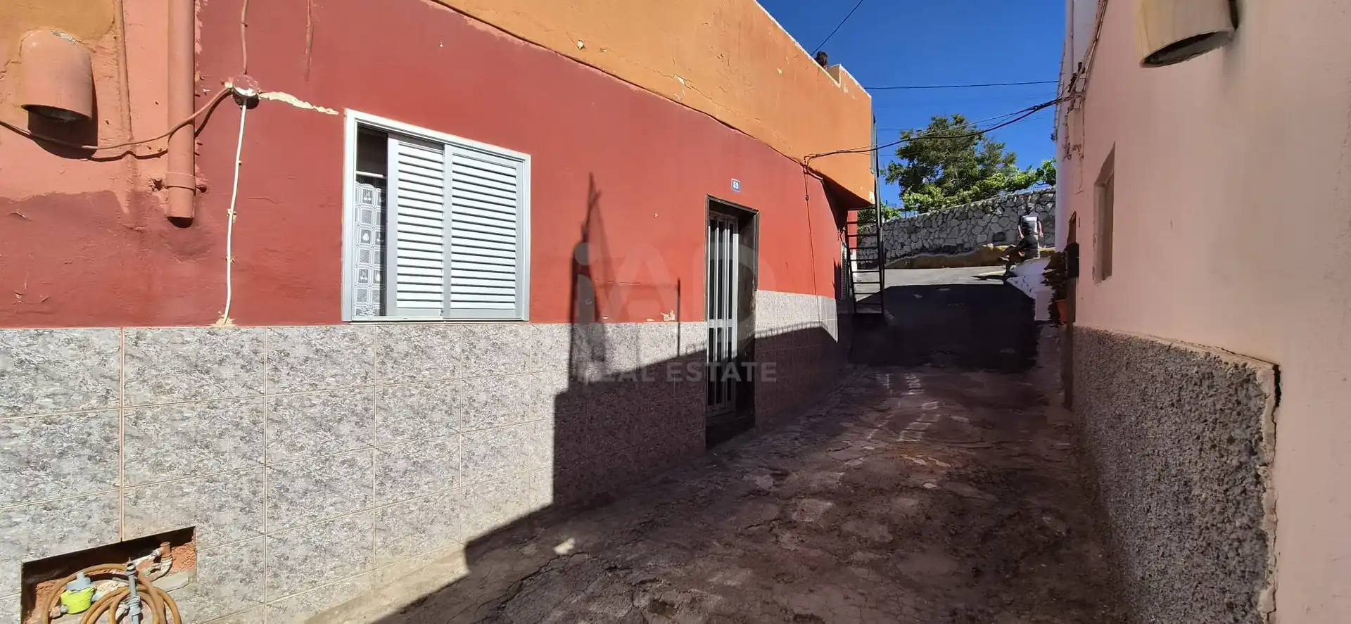 Vista exterior de Finca rústica en venta en San Miguel de Abona