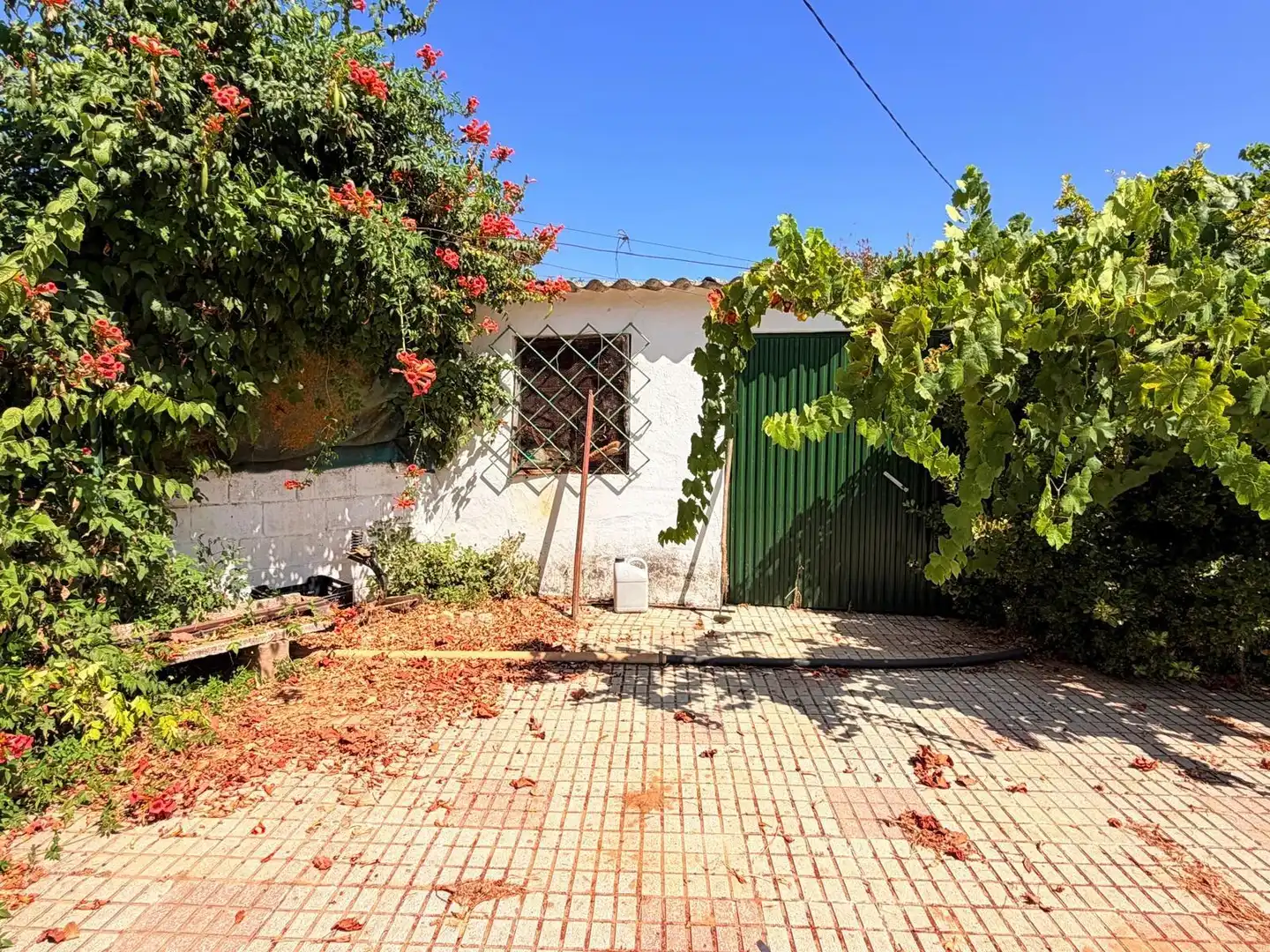 Vista exterior de Casa o chalet en venta en Valverde de Mérida con Jardín privado, Terraza y Trastero
