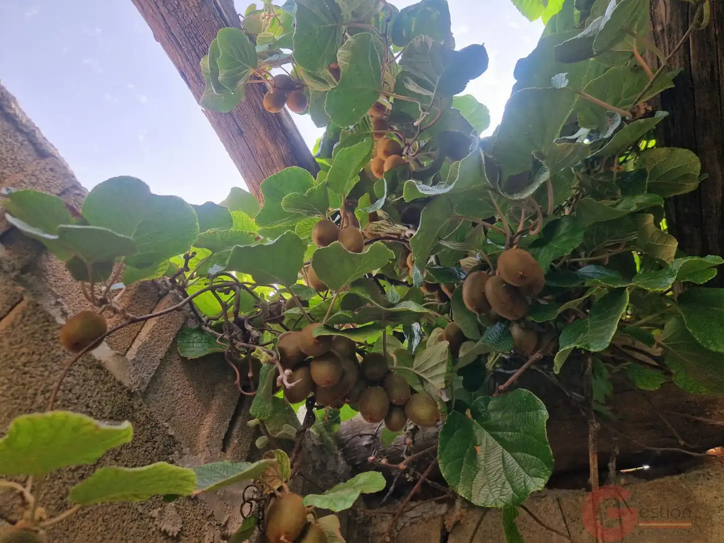 Casa rustica in vendita a Lanjarón, imagen 27