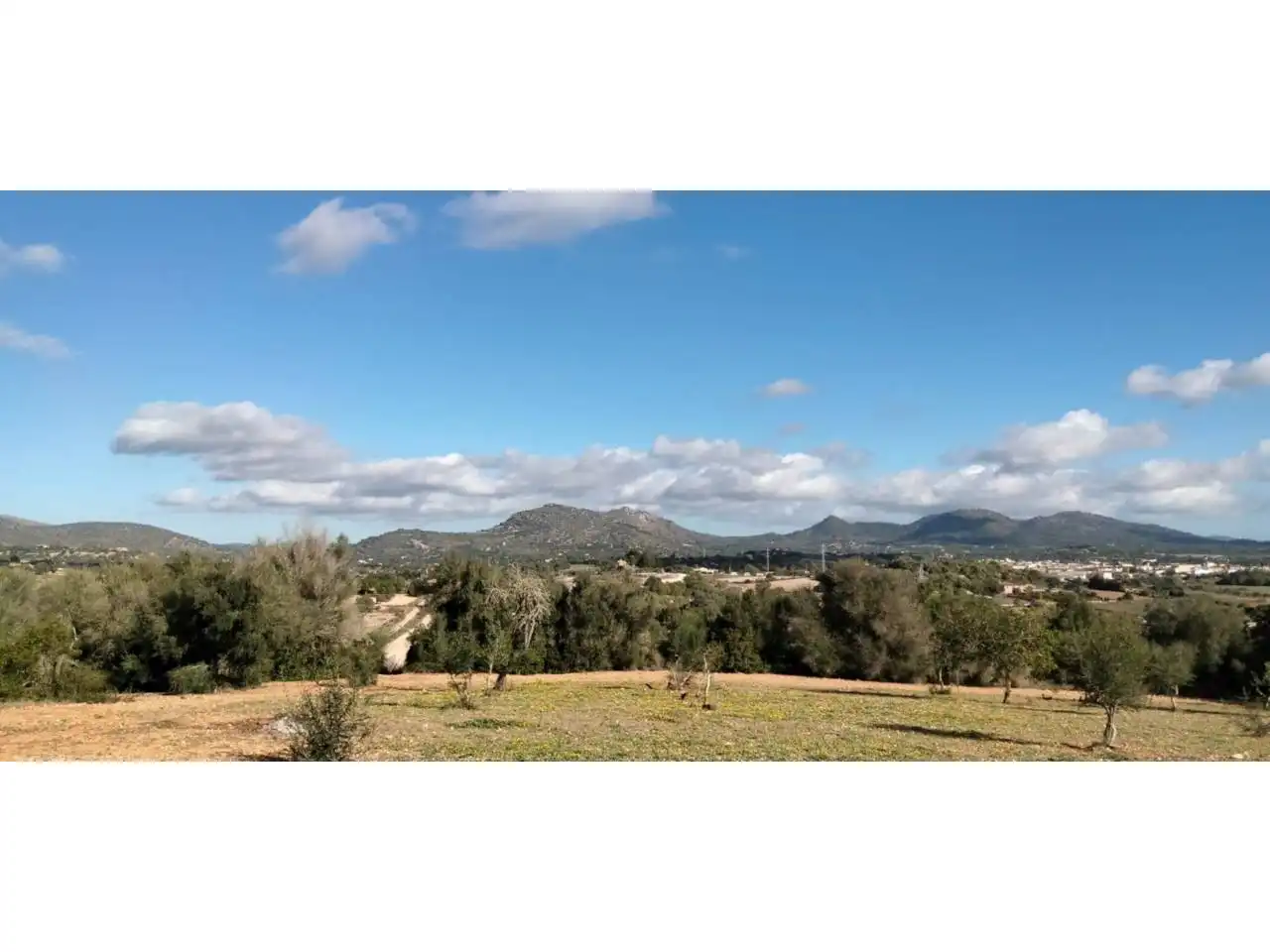 Rural land for sale in Poligono 5 723, imagen 48