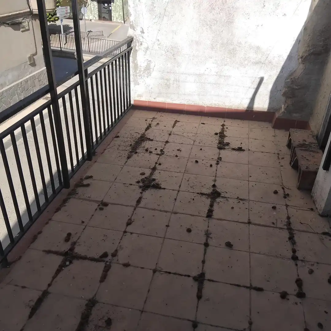Balcony of Houses for sale in Anglesola  with Terrace, Storage room and Balcony