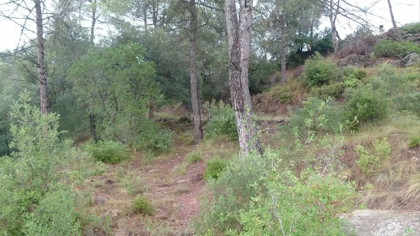 Residential land for sale in Calle Sant Llorençæ’ de Munt 44, imagen 3