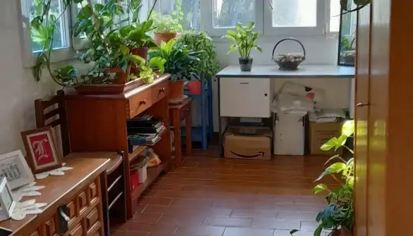 Gewerbefläche zum Verkauf in Son Parc, imagen 11