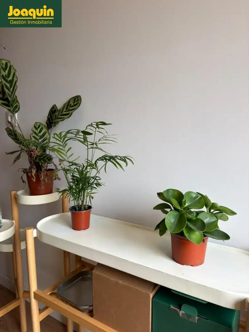 Pis amb terrassa de lloguer a Centro, imagen 4