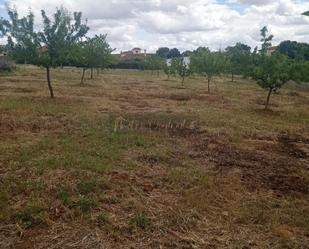 Finca rústica en venda a Este