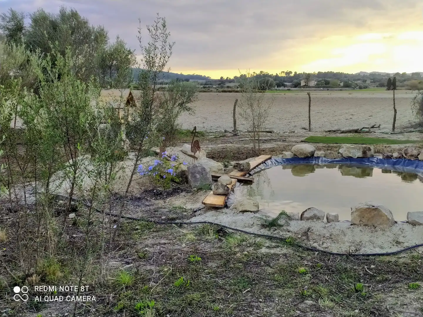 Terreno rústico en venta en Porreres, imagen 11