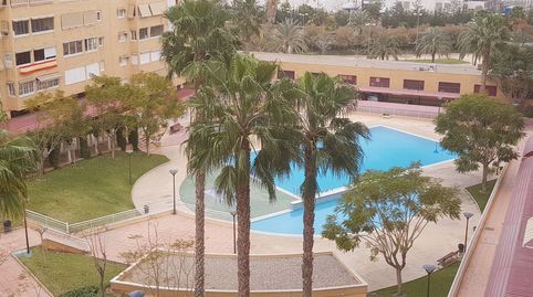 Foto 3 de Pis de lloguer a Babel, Alicante / Alacant