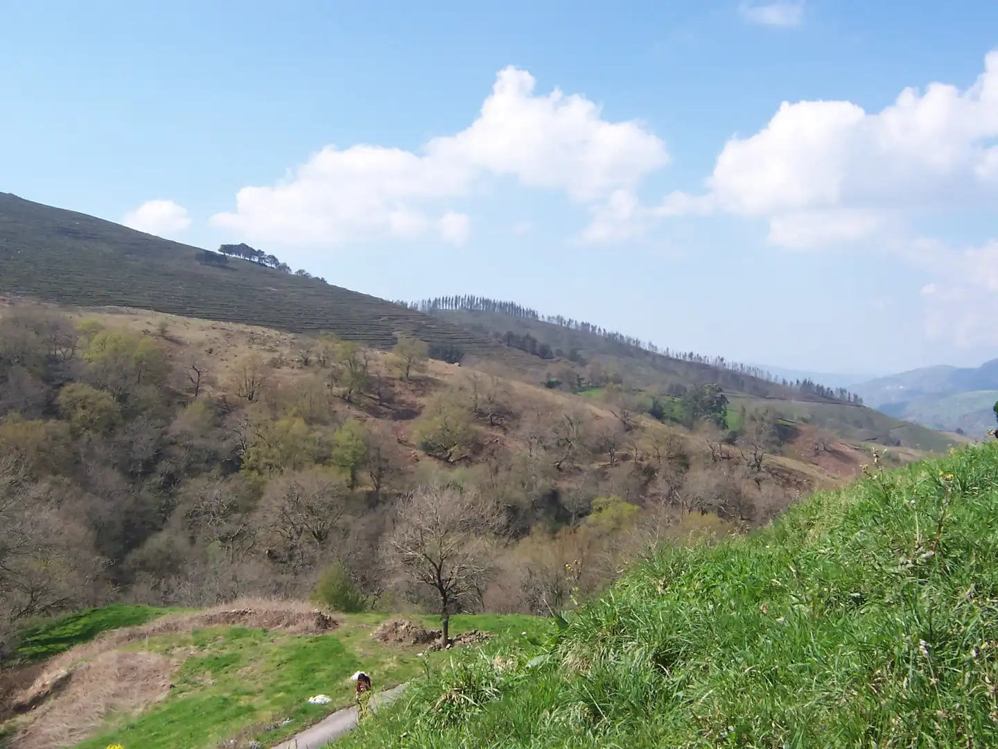 Casa o chalet en venta en Saro