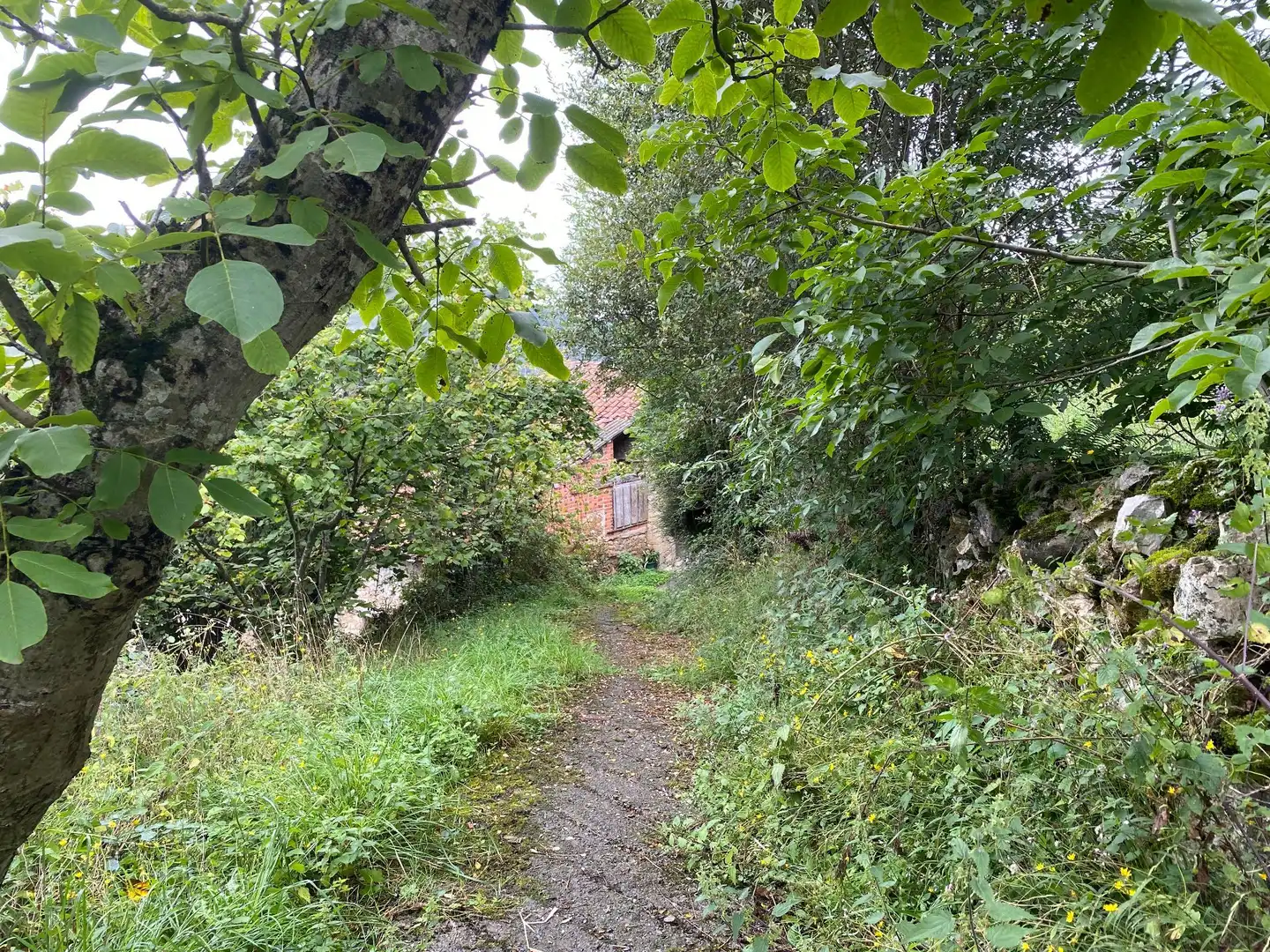 Houses for sale in Gamonedo, Cangas de Onís