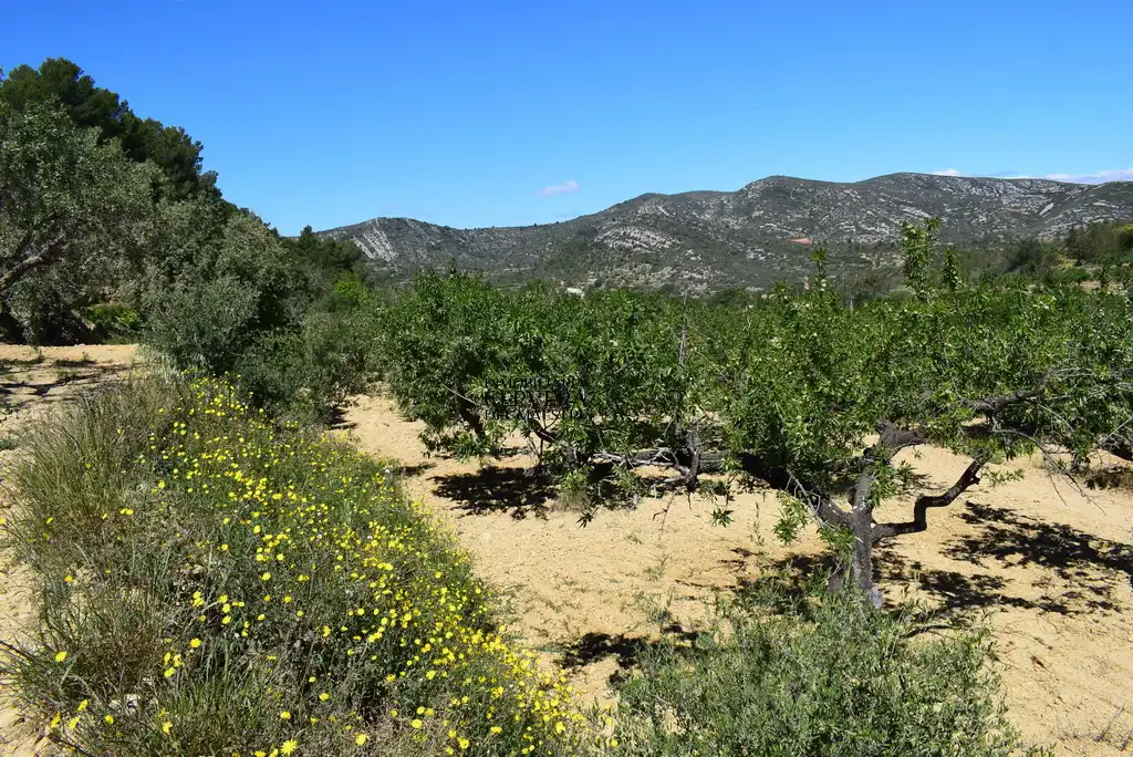 Finca rústica en venda en Cervera del Maestre