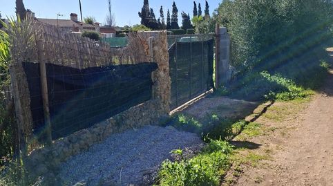 Se vende finca rústica en Santa Eugenia, immagine 2