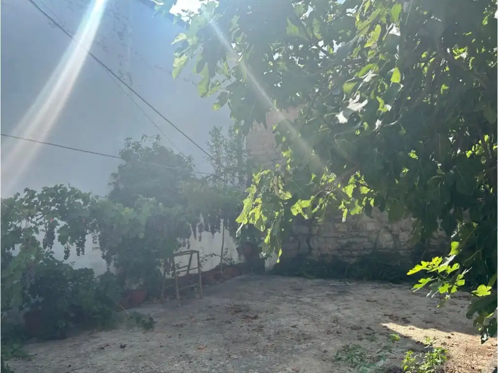 Finca rústica en venta en Altura