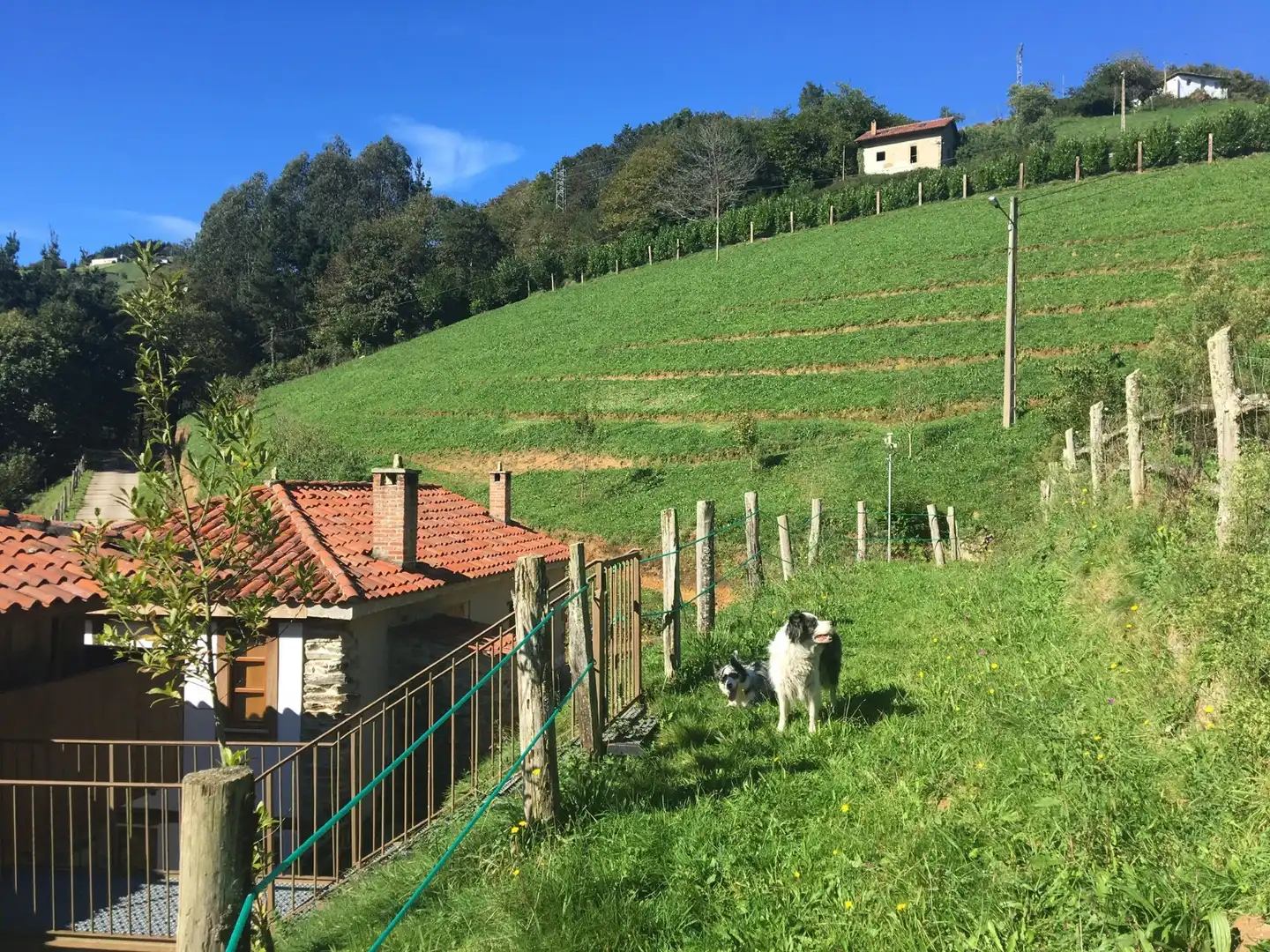 Jardí de Casa o xalet en venda en Cudillero amb Moblat