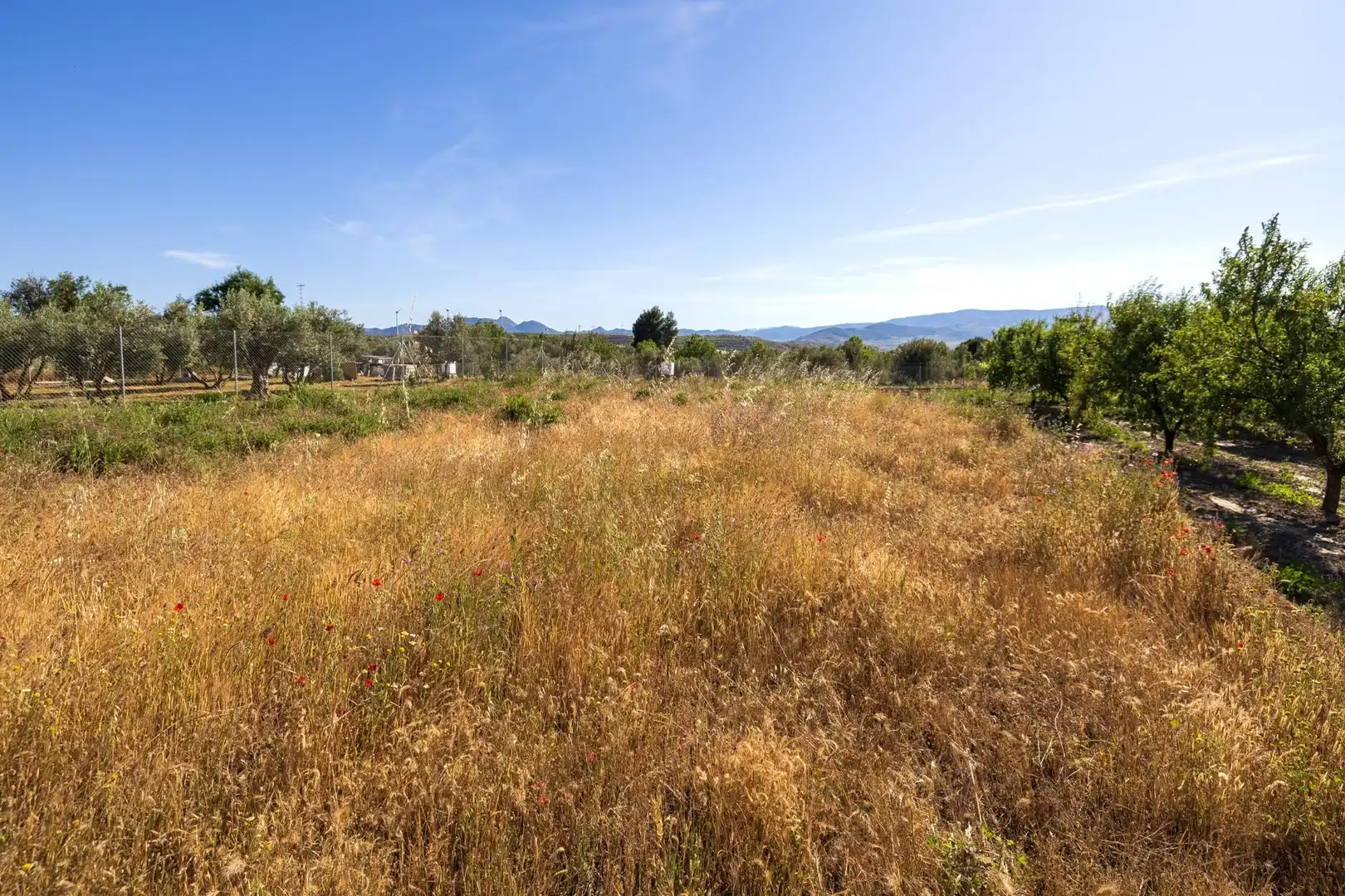 Rural land for sale in Dúrcal, imagen 17