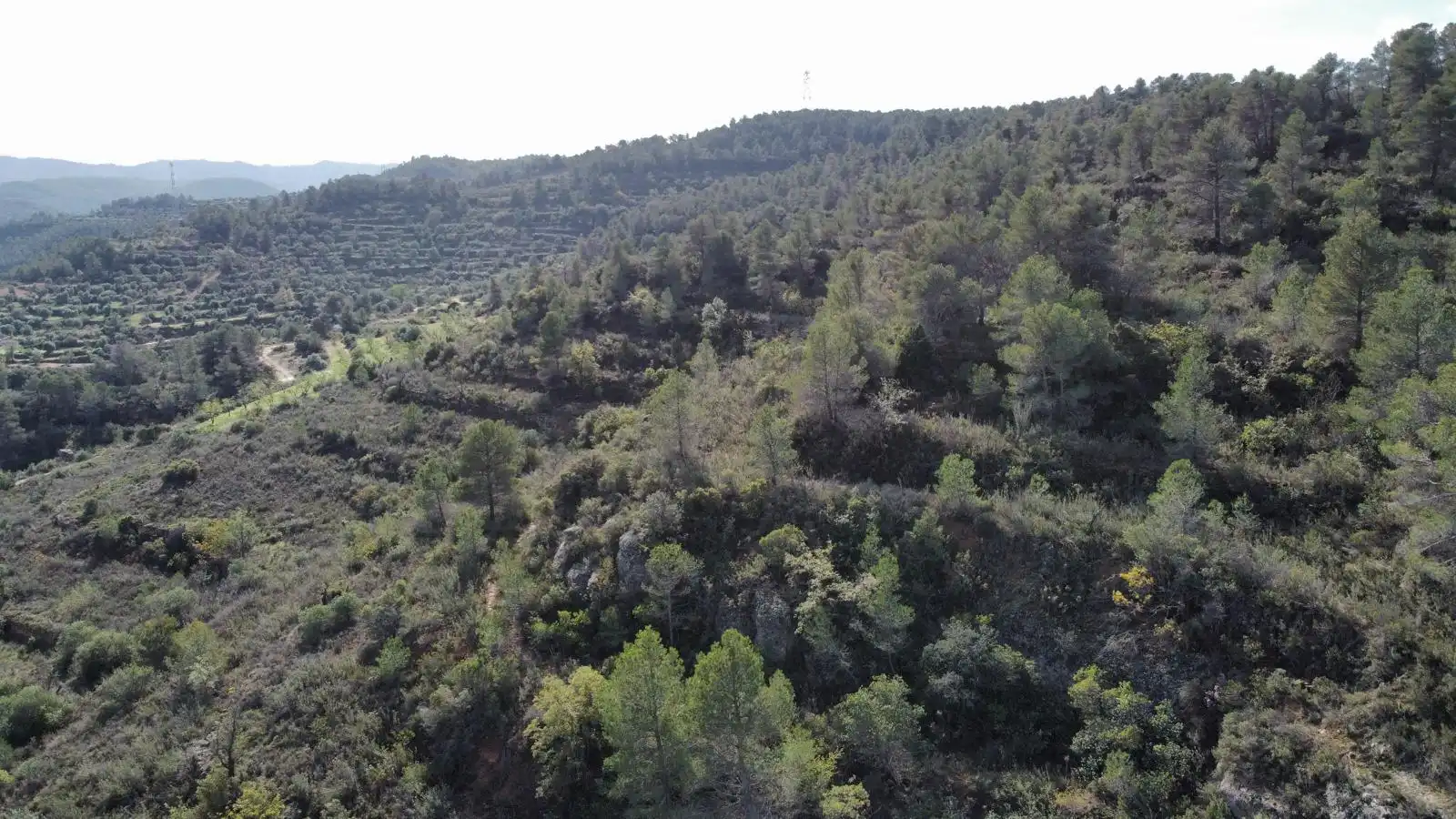 Terreno rustico in vendita a Cervià de Les Garrigues, imagen 35