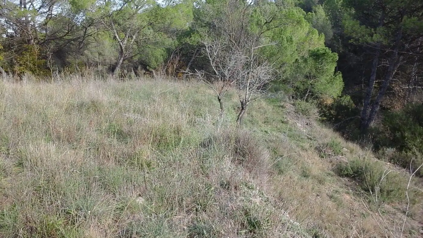 Terreny residencial en venda a Passatge Isidre de Comasua 7, imagen 8