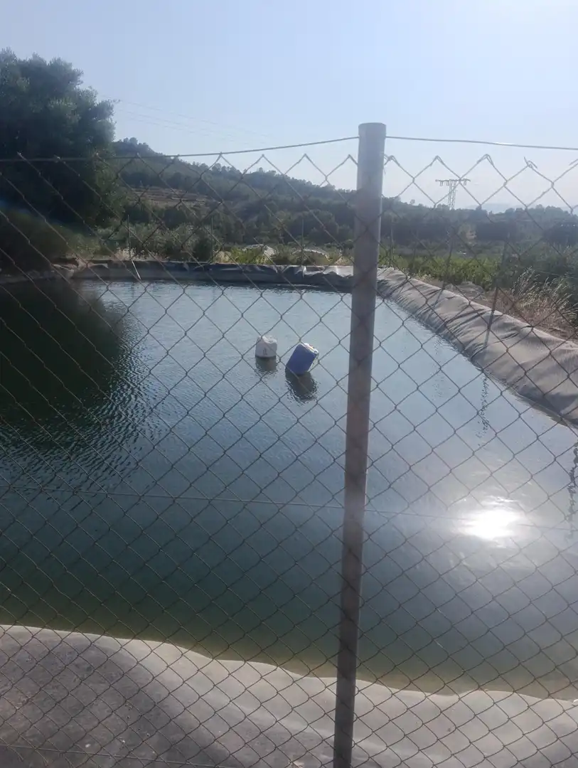 Schwimmbecken von Country house zum Verkauf in Bullas
