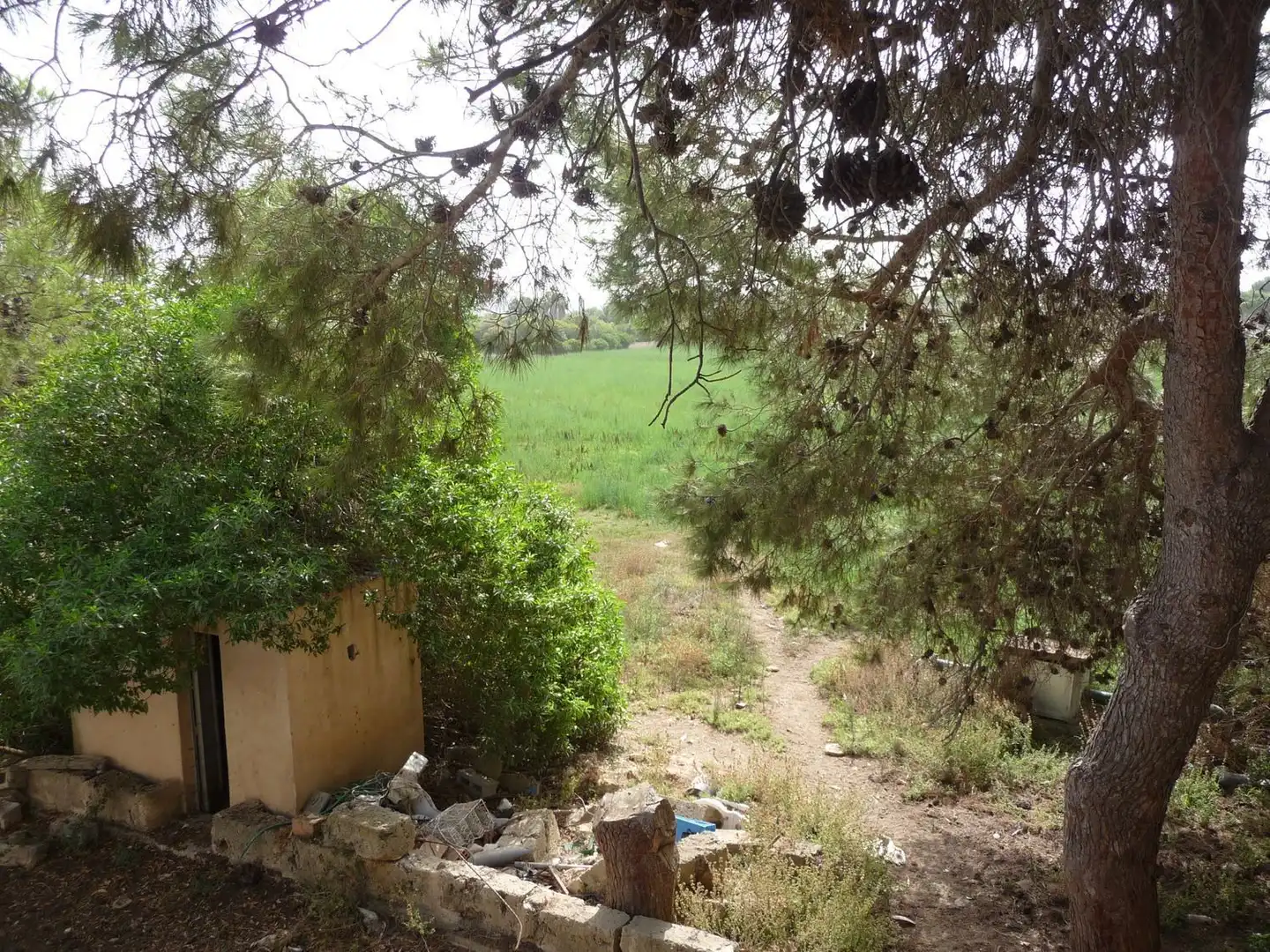 Finca rústica en venda a Son Ferriol