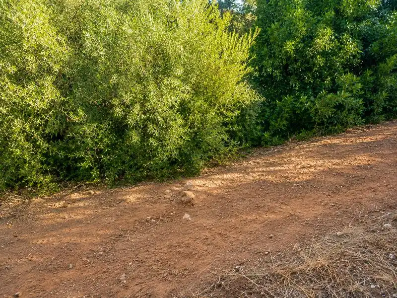 Grundstücke zum Verkauf in Estepona