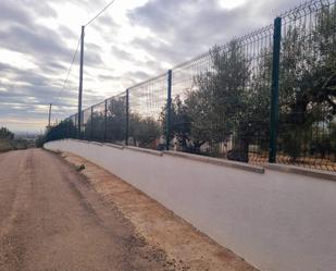 Exterior view of Country house for sale in Amposta