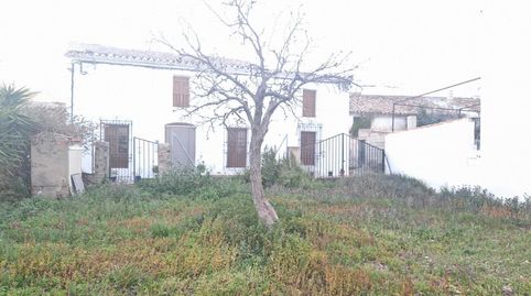AlmanzoraTerreno, immagine 4