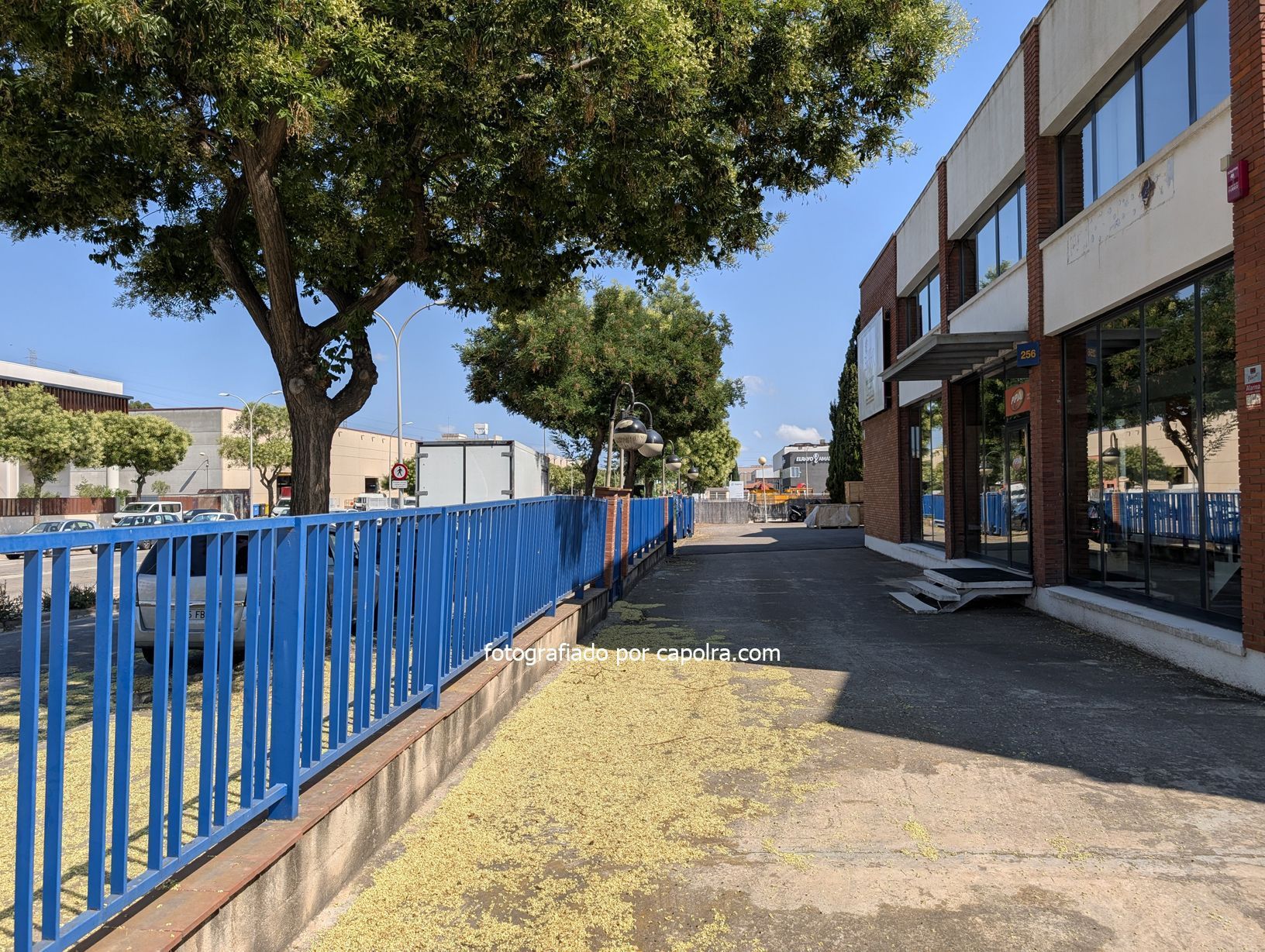 Vista exterior de Nau industrial de lloguer en Molins de Rei