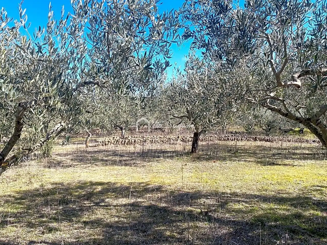 Terrain rustique à vendre à Calobres, imagen 6