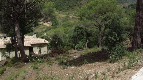 Parcela con vista a las Gavarres., imatge 4