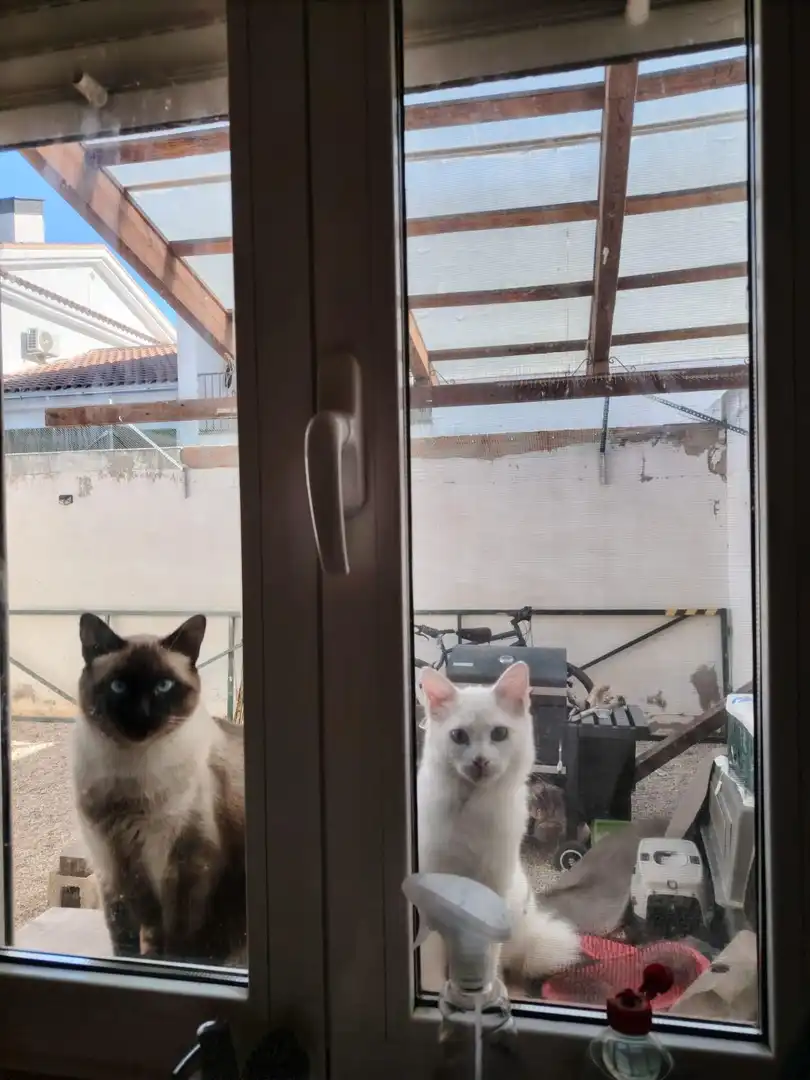 Villa à vendre à Iniesta, imagen 58