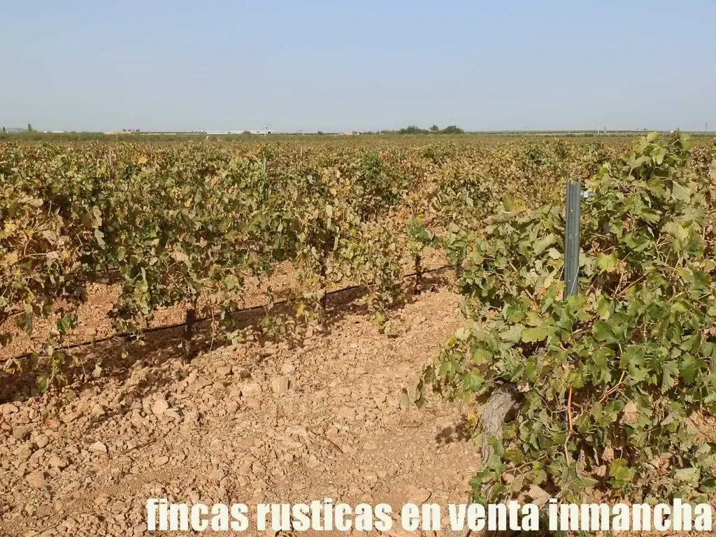 Terrenys i solars en venda a Almagro, imagen 14