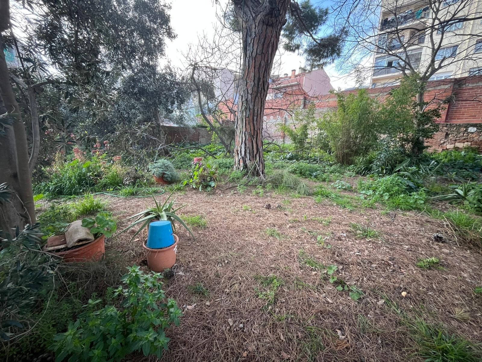 Jardí de Casa adosada en venda en Terrassa amb Jardí privat i Balcó