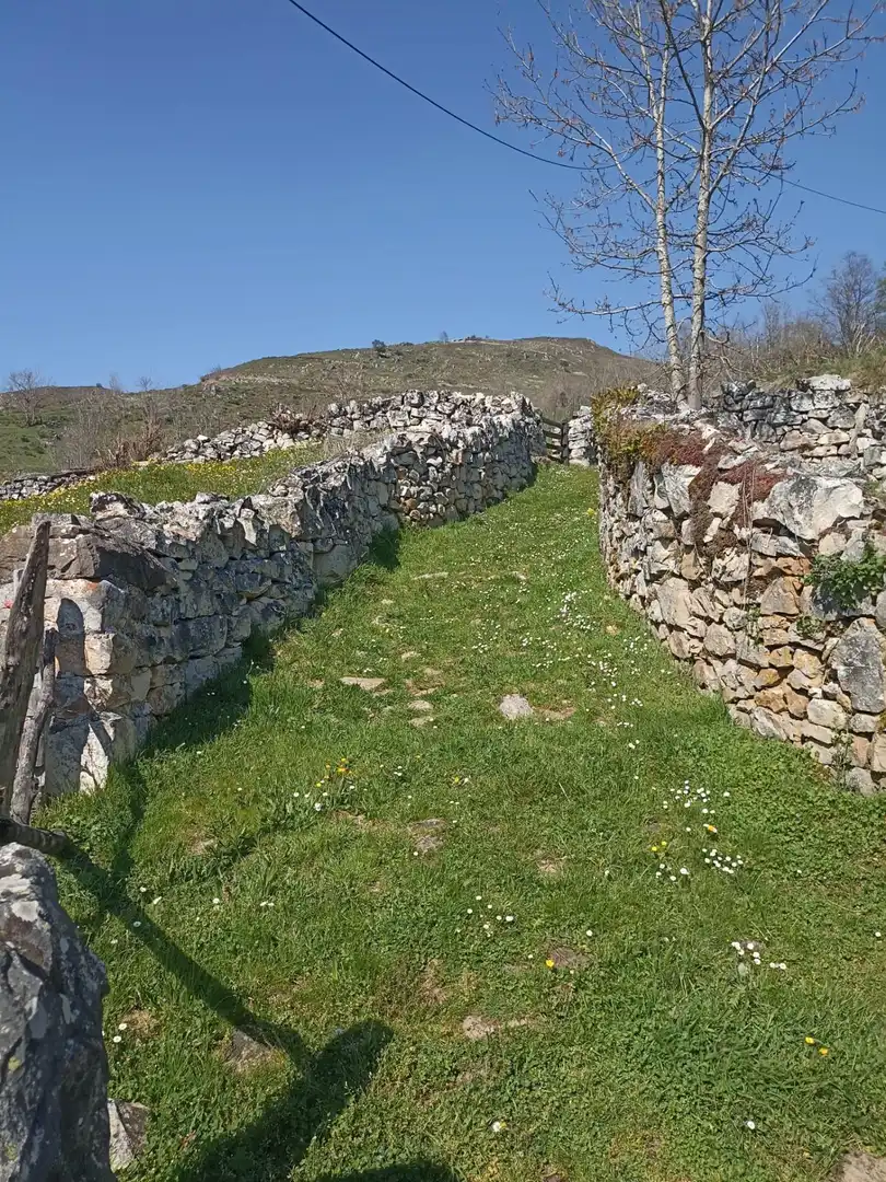 Maison avec jardin à vendre à Somiedo, imagen 18