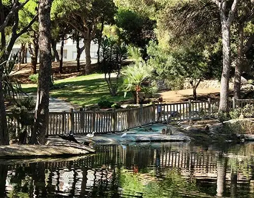Terreny residencial en venda a Pueblo, imagen 5