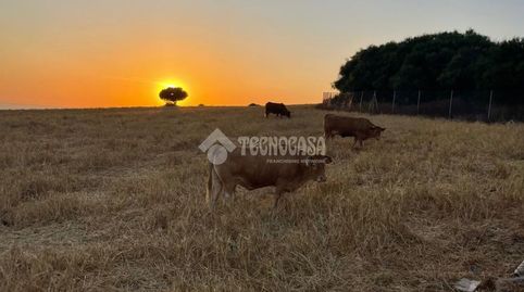 Foto 2 de Residencial en venta en Vejer, Vejer de la Frontera