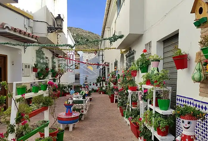 Vista exterior de Casa o xalet en venda en Torrox amb Terrassa i Forn