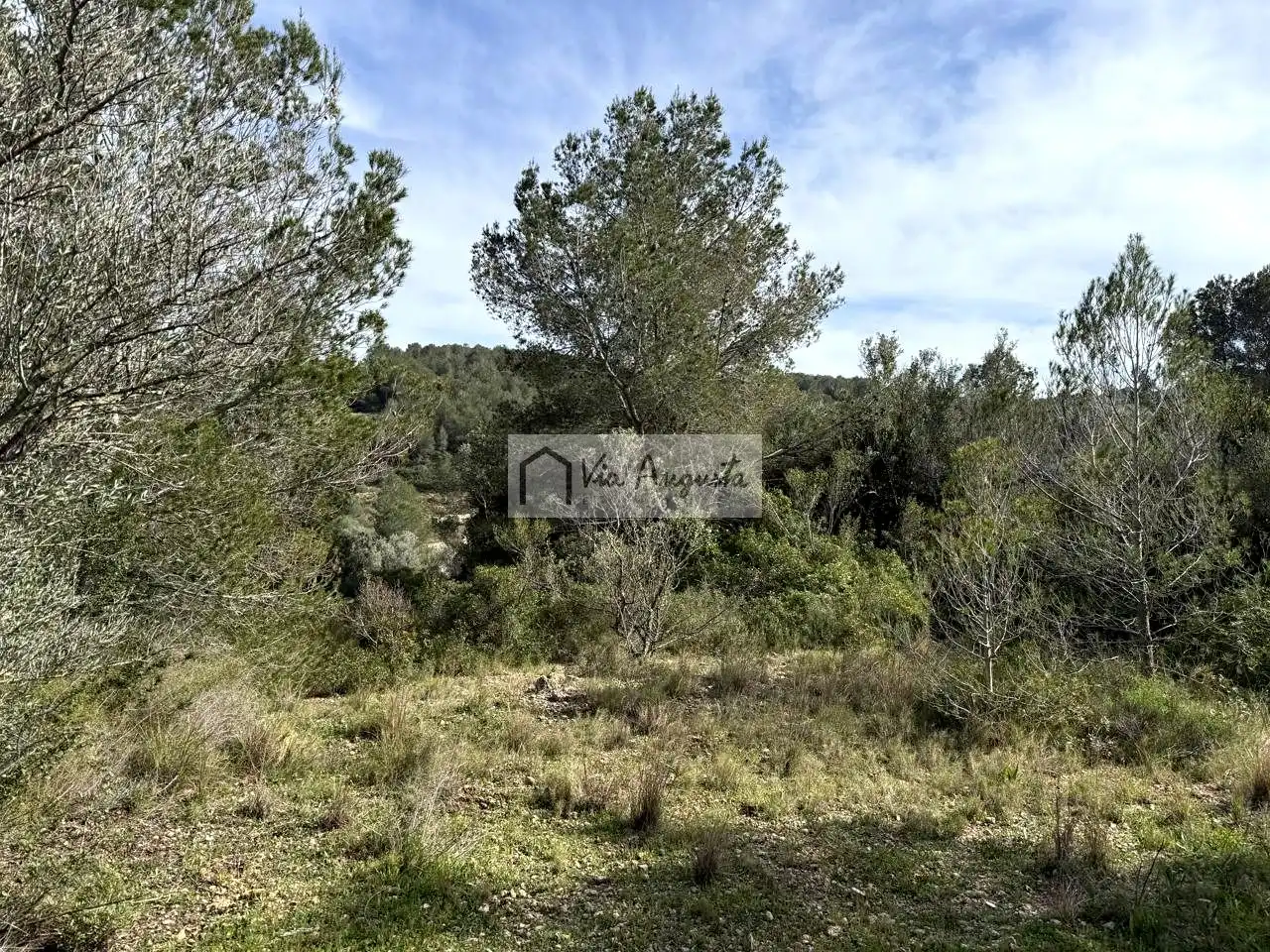 Terreno rustico in vendita a oliveres, imagen 10