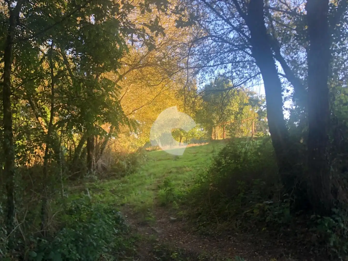 Terreni e lotti in vendita a Nogueira de Ramuín, imagen 52