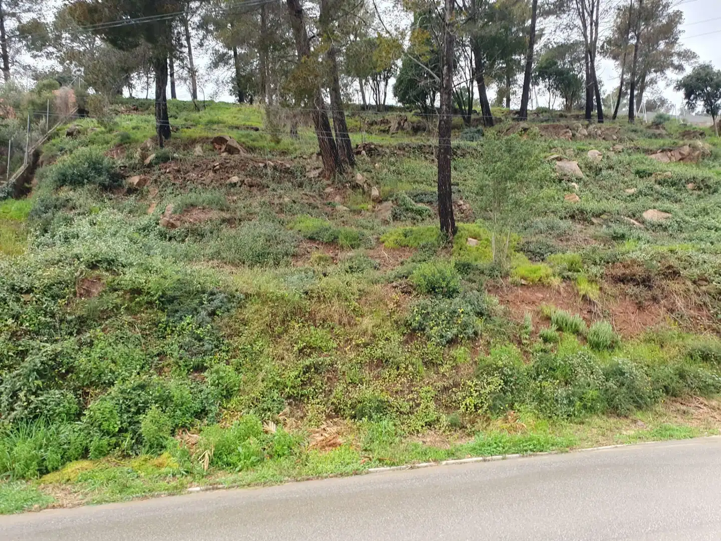 Terrenos y solares en venta en Sentmenat, imagen 5